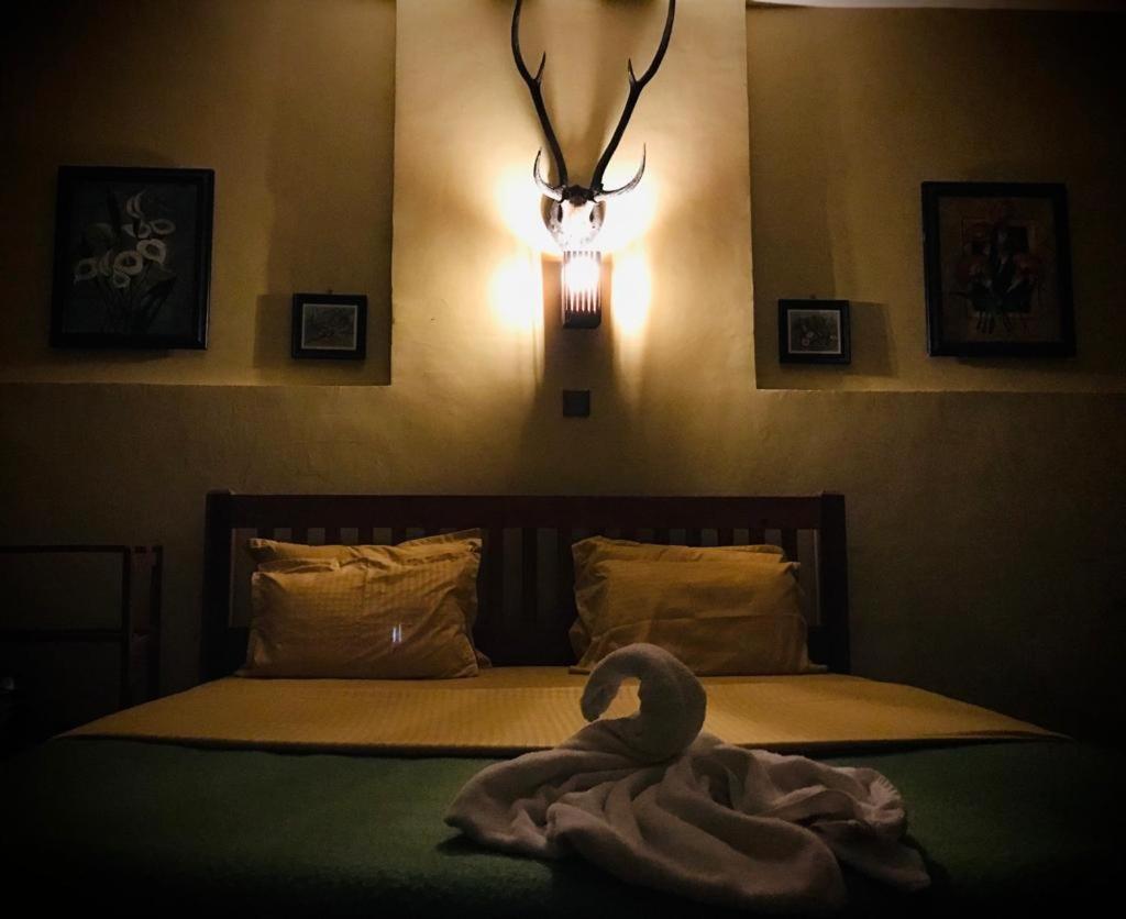 Lily Bank Cottage ヌワラ・エリヤ エクステリア 写真