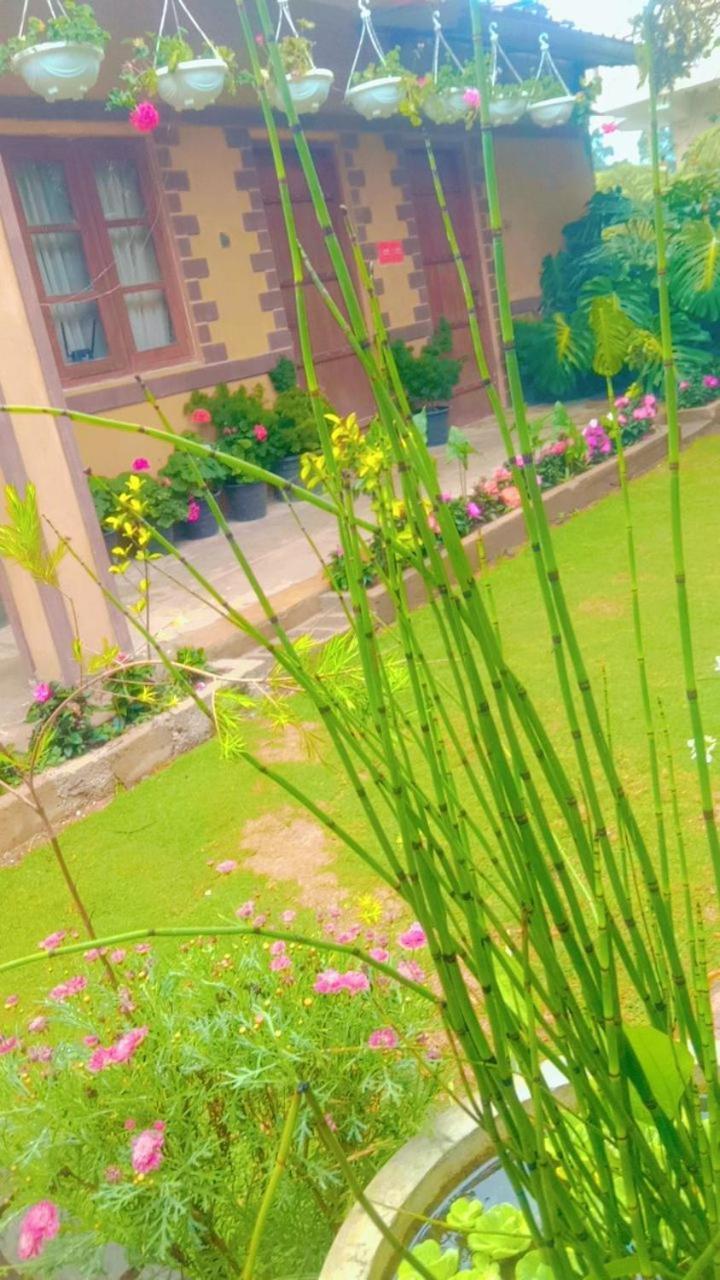 Lily Bank Cottage ヌワラ・エリヤ エクステリア 写真